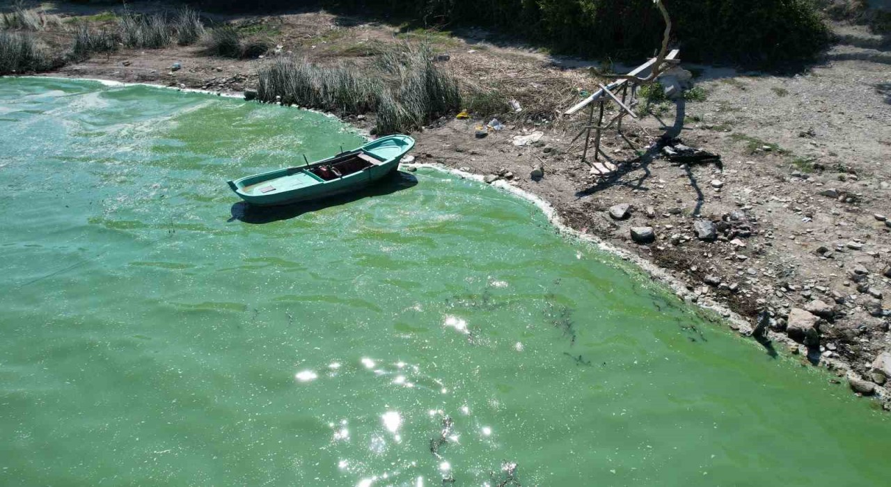 Terkos Gölünde endişelendiren görüntü