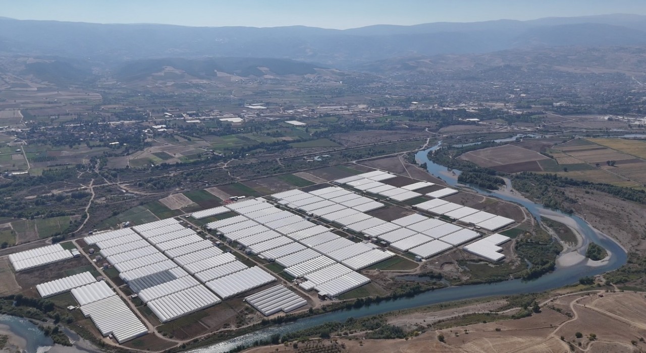 Tokat çiçekçilikte bölge lideri oldu; 600 dekarda 20 çeşit çiçek yetiştiriliyor