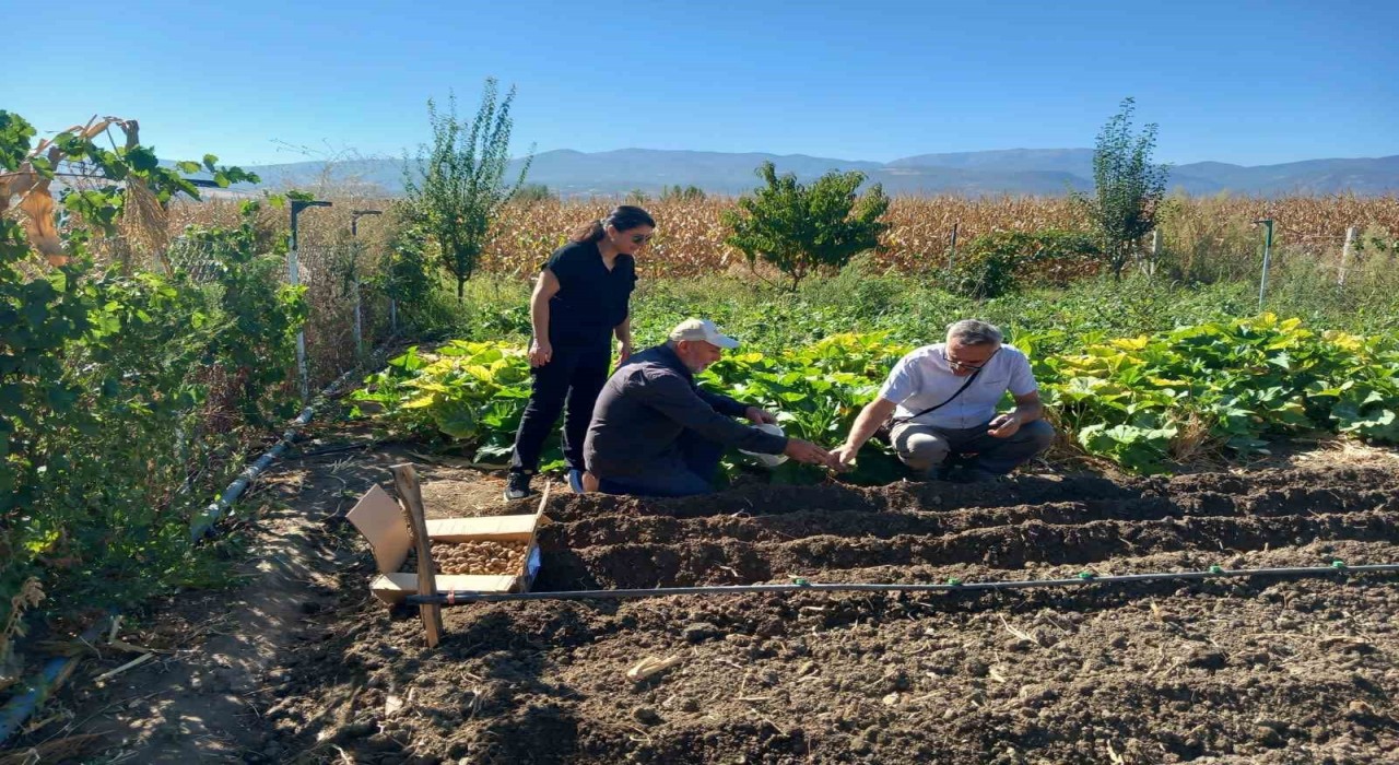 Tokatta salep üretimine başlanıldı