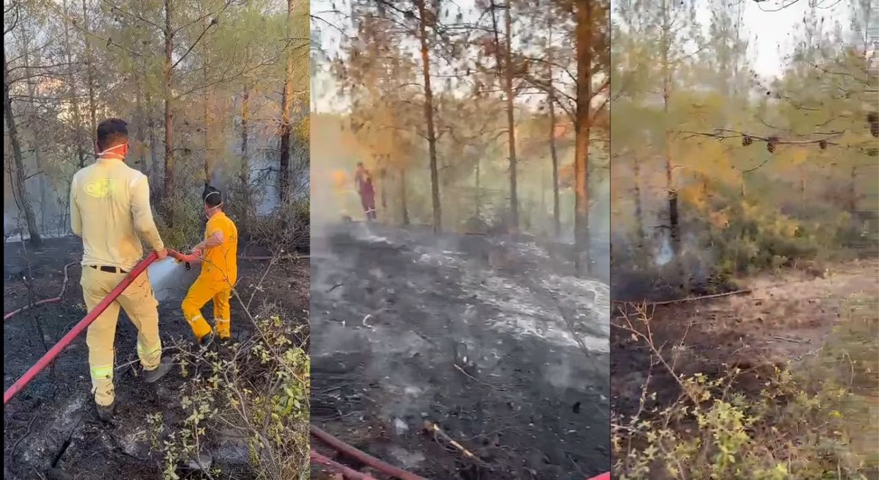 Toprakkale İlçesinde Orman Yangını: Ekipler Müdahale Ediyor
