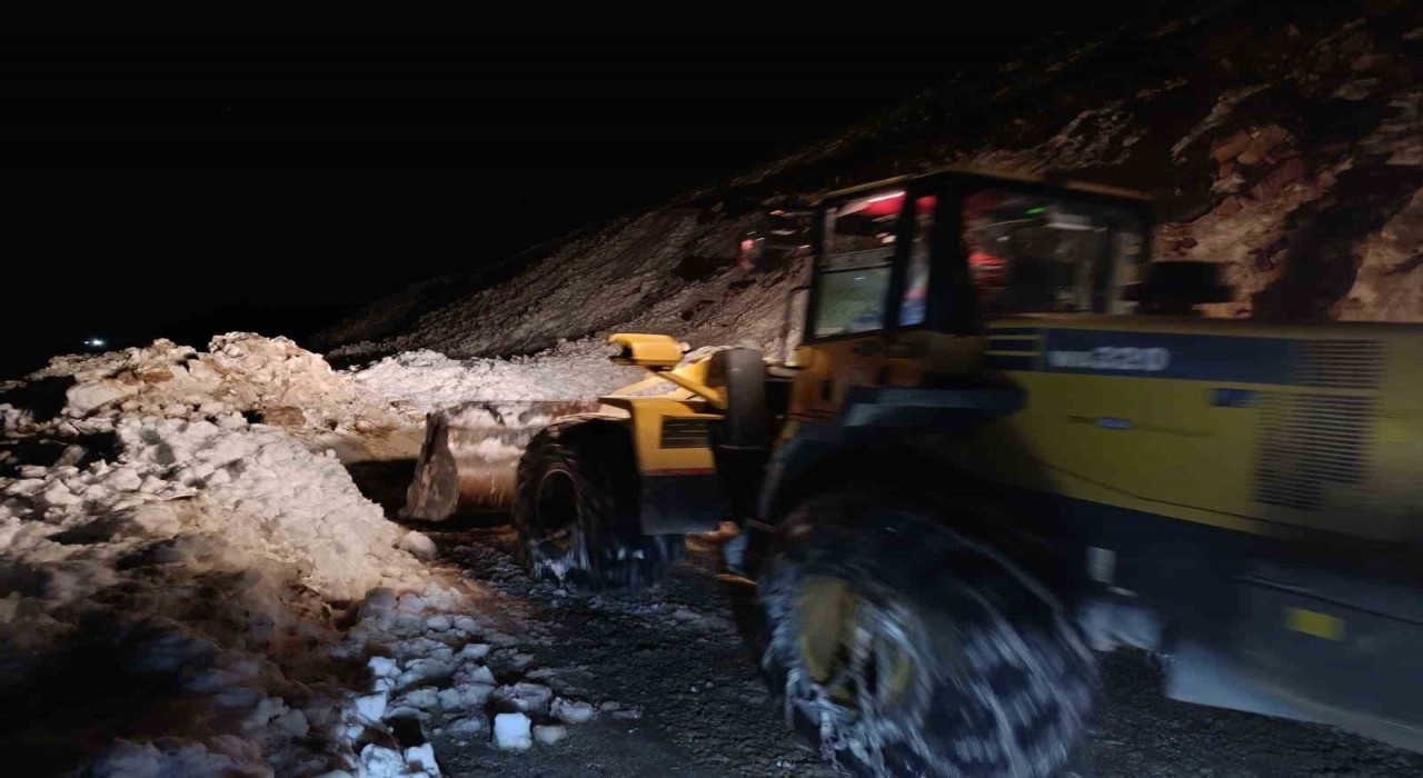 Trovit Yaylasında yeniden çığ yaşandı