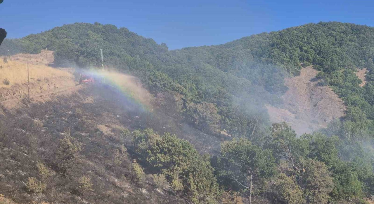 Tuncelide kırsal alanda yangın: Havadan ve karadan müdahale sürüyor