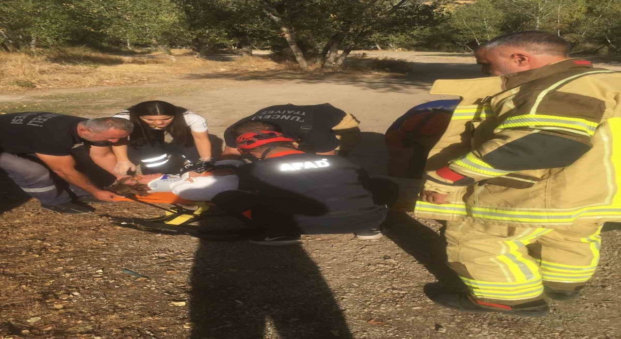 Tuncelide trafik kazası: 5 yaralı