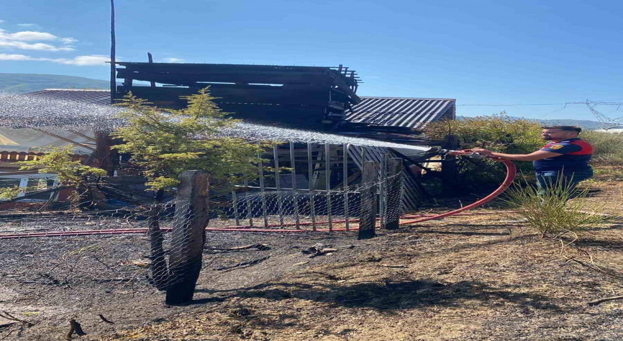 Türkelide anız yangını eve sıçradı