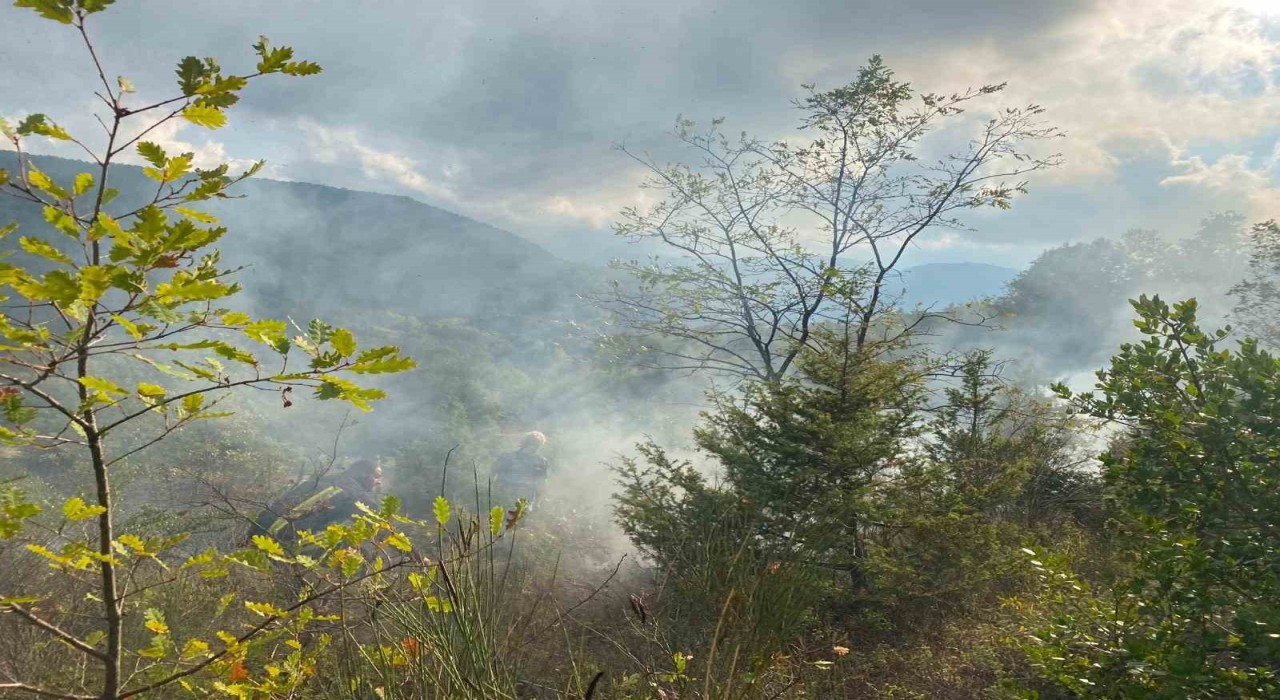 Türkelide otluk alanda çıkan yangın söndürüldü