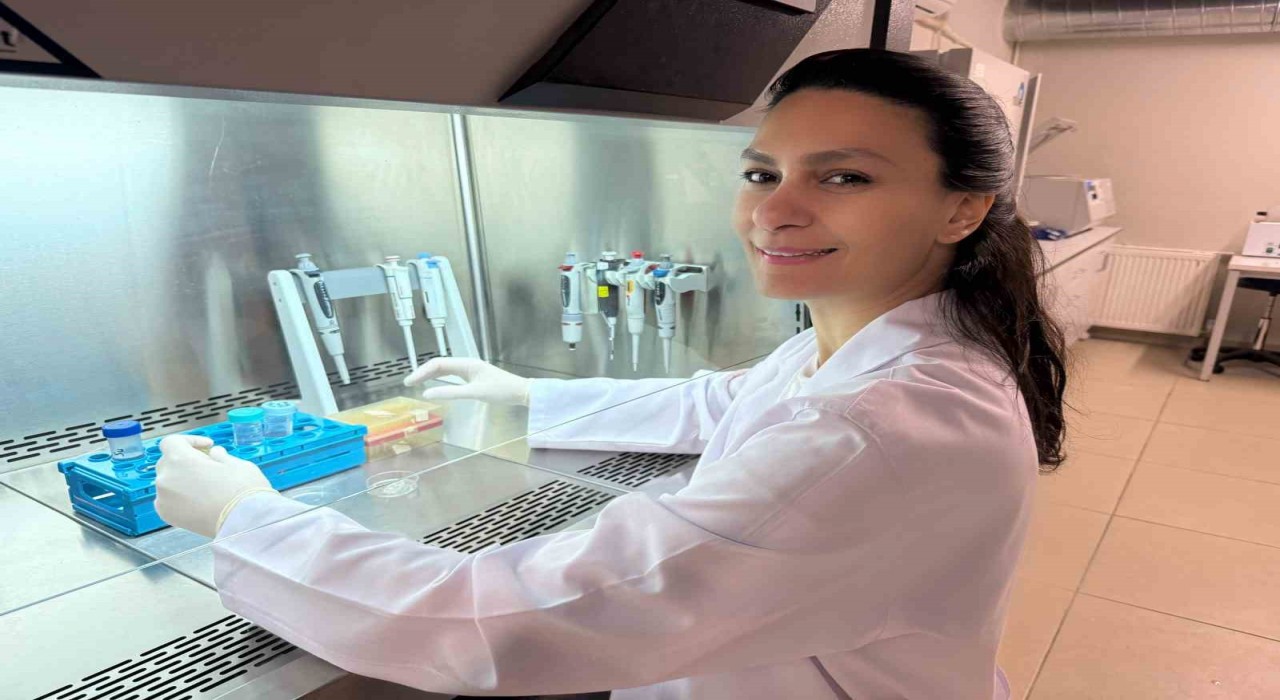 Türkiyede yapılan çalışmada HIV ile yaşayan her 3 kişiden 1inde frengi görüldü