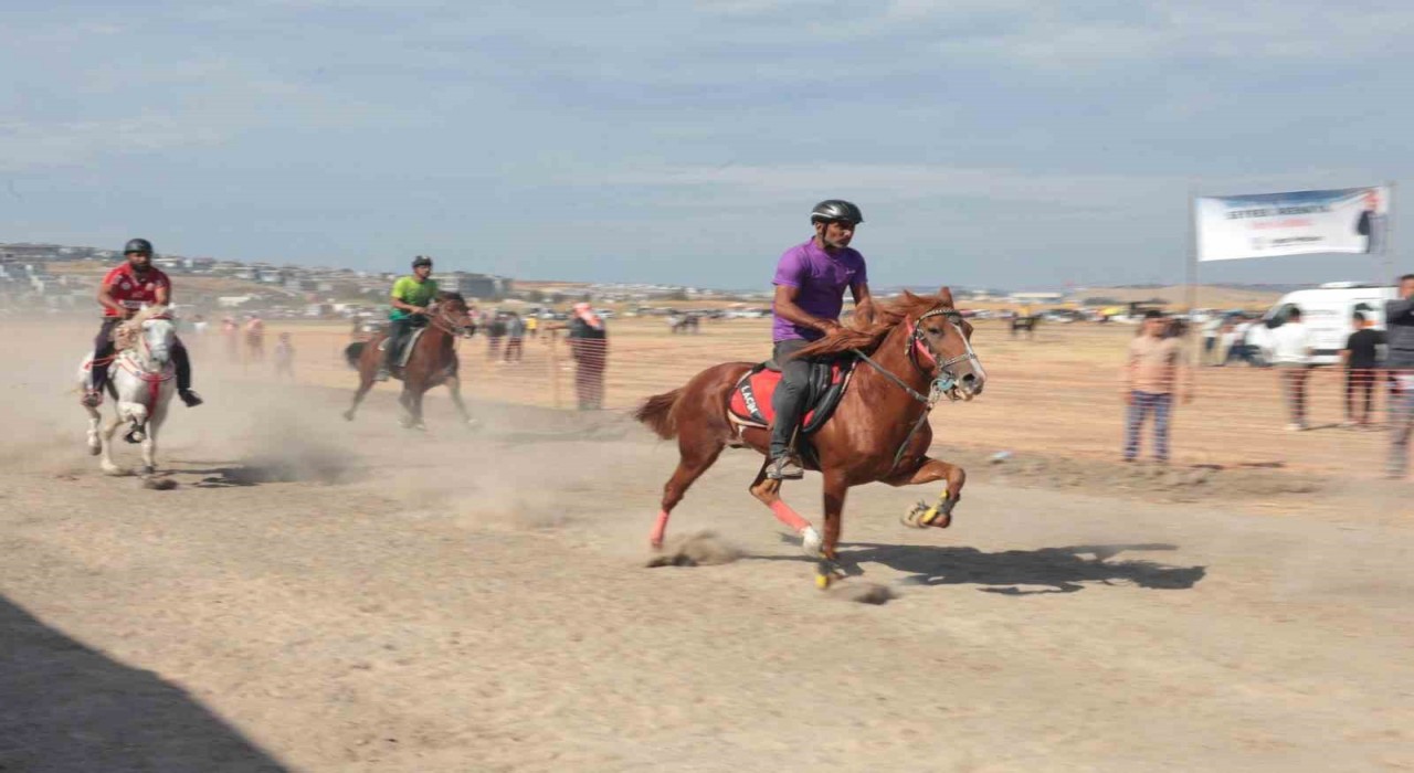 Türkiyenin şampiyon atları Menemende yarıştı
