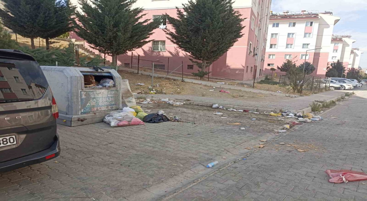 Tuşbada yol ve çöp sorunu vatandaşları bıktırdı