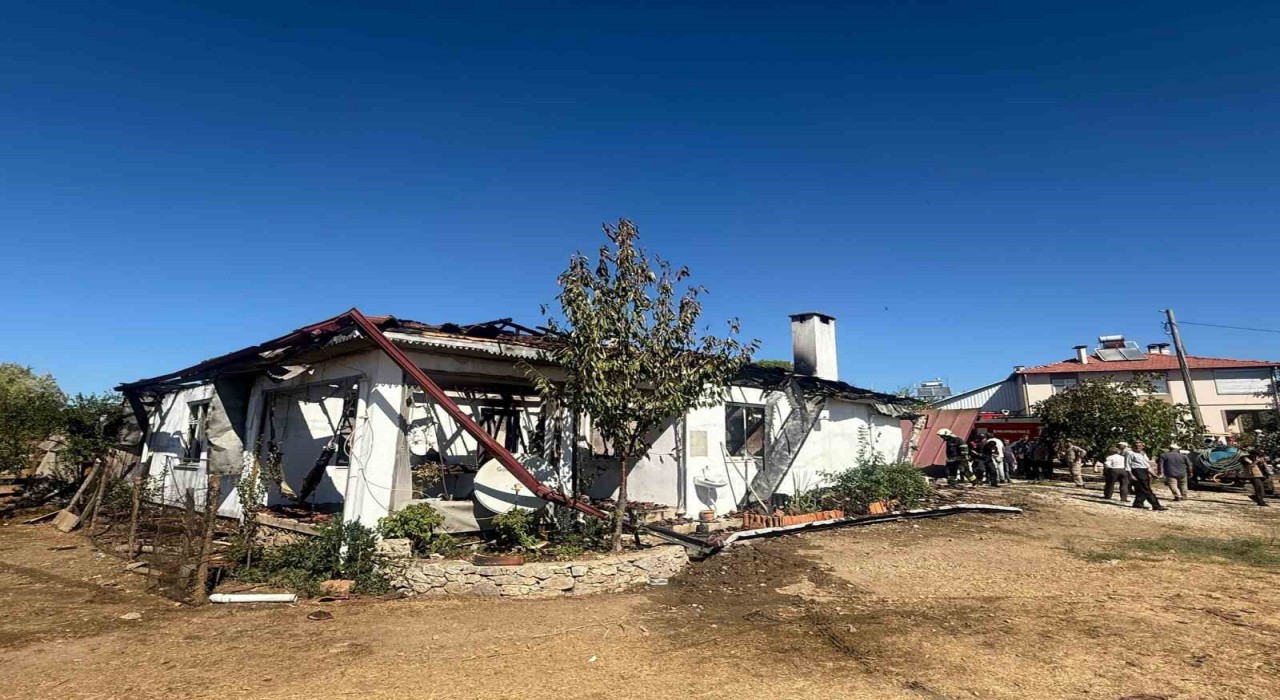 Uladaki yangında 3 hayvan telef oldu