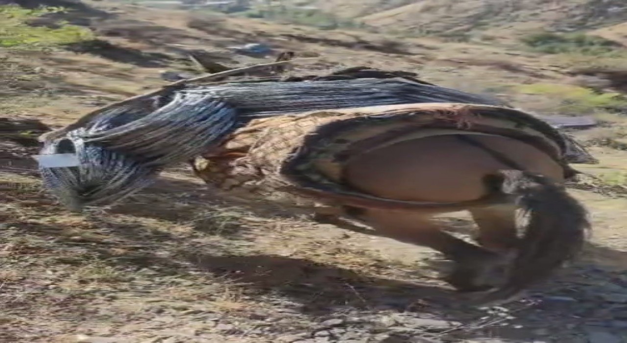 Uluderede zorlu kaya ıslahı: Malzemeler katırlarla zirveye taşınıyor