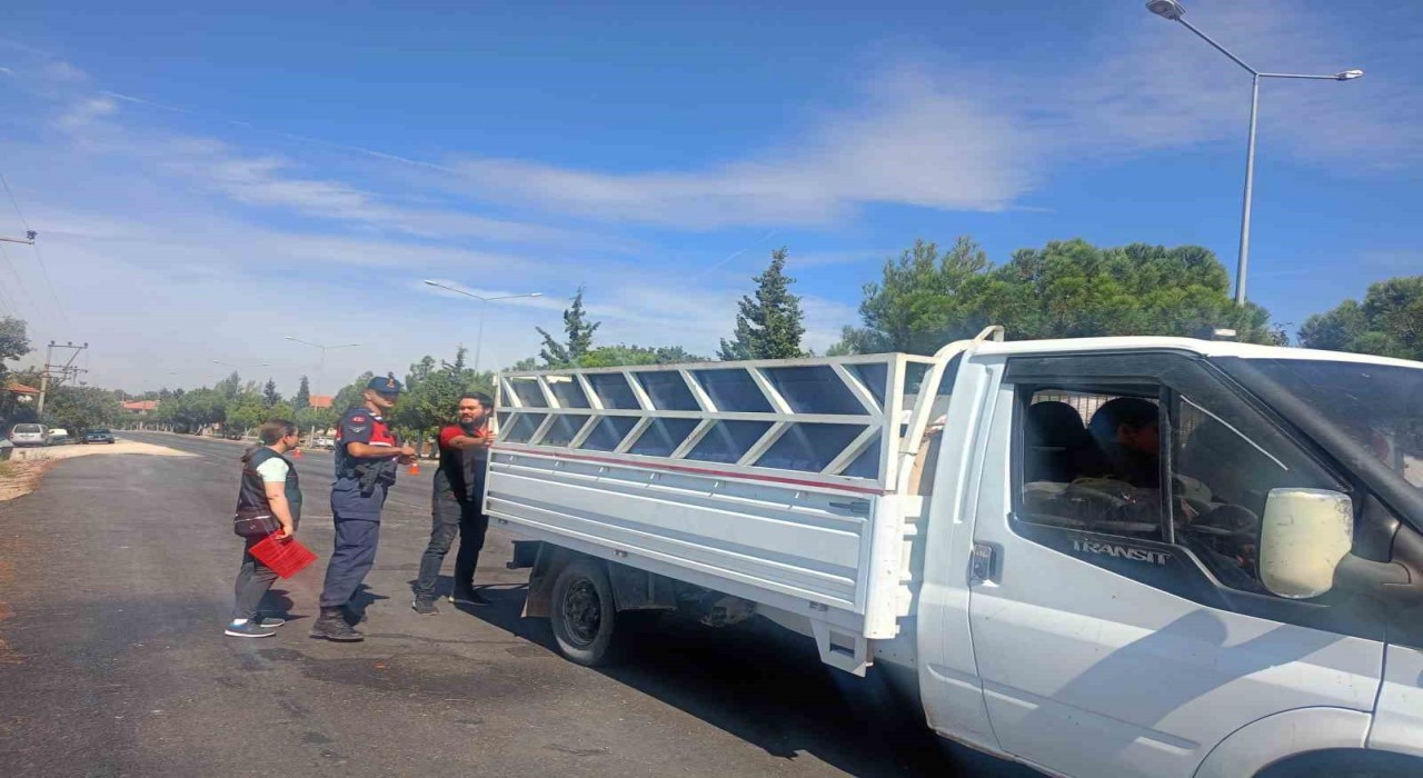 Uşakta şap hastalığına karşı denetimler hız kesmeden sürüyor