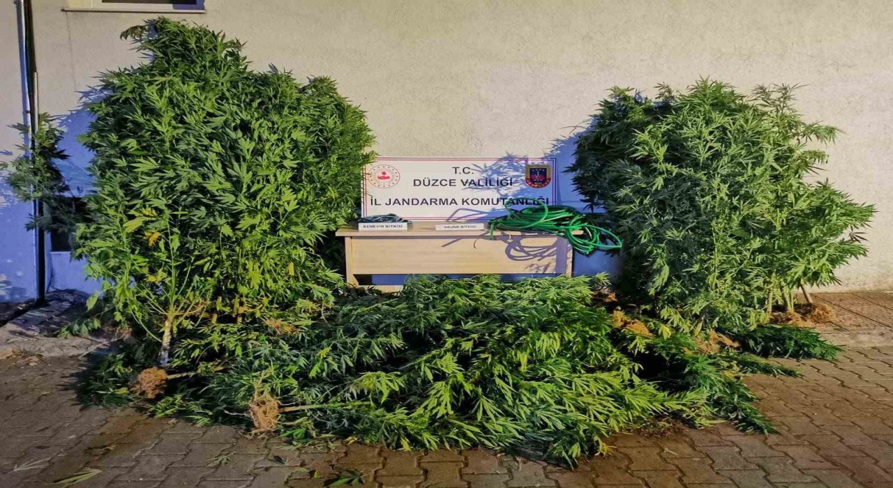 Uyuşturucudan 6 kişi tutuklandı, 44 şahıs hakkında işlem yapıldı