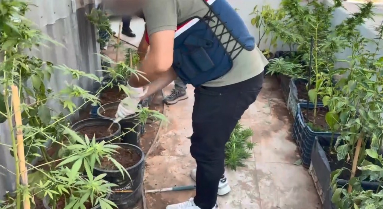 Uyuşturucuyu saksılara ekip evinin çevresine yerleştirmiş