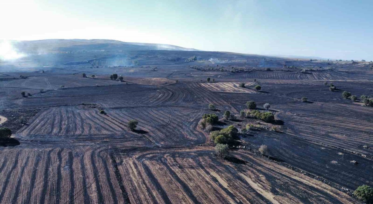 Uzmanı uyardı: Orman yangınlarına karşı topraktaki nem kapasitesini arttırmalıyız