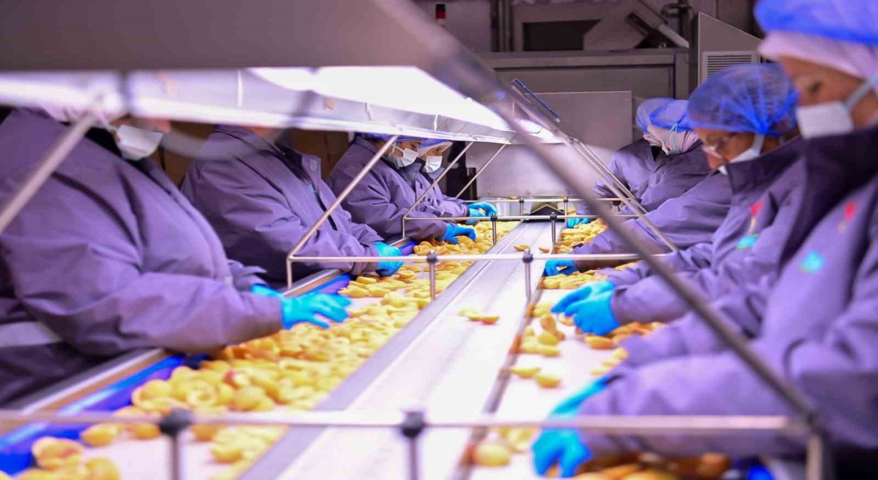 Vali Canbolat, Köşkte gıda tesisini inceledi