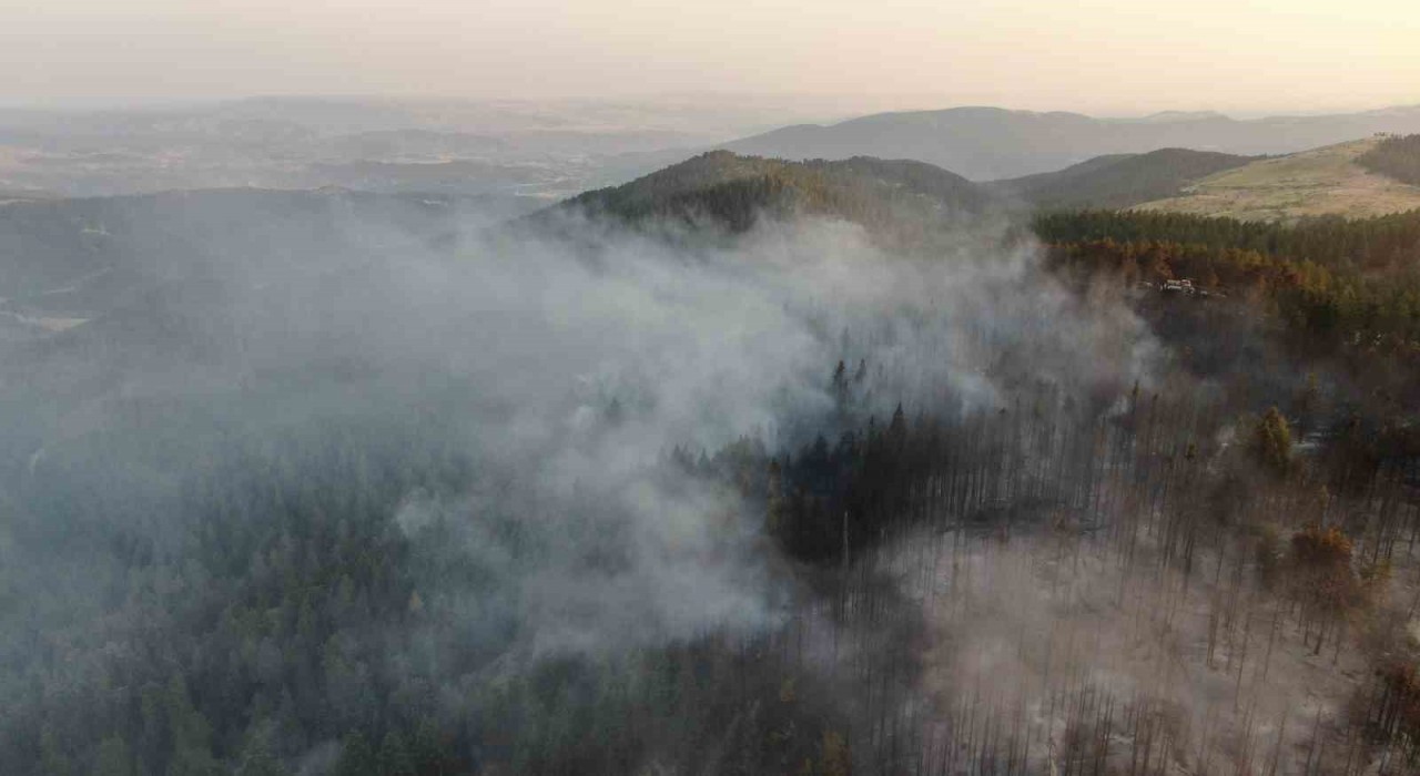 Vali Taşolardan orman yangınını ihbar eden çocuğa teşekkür