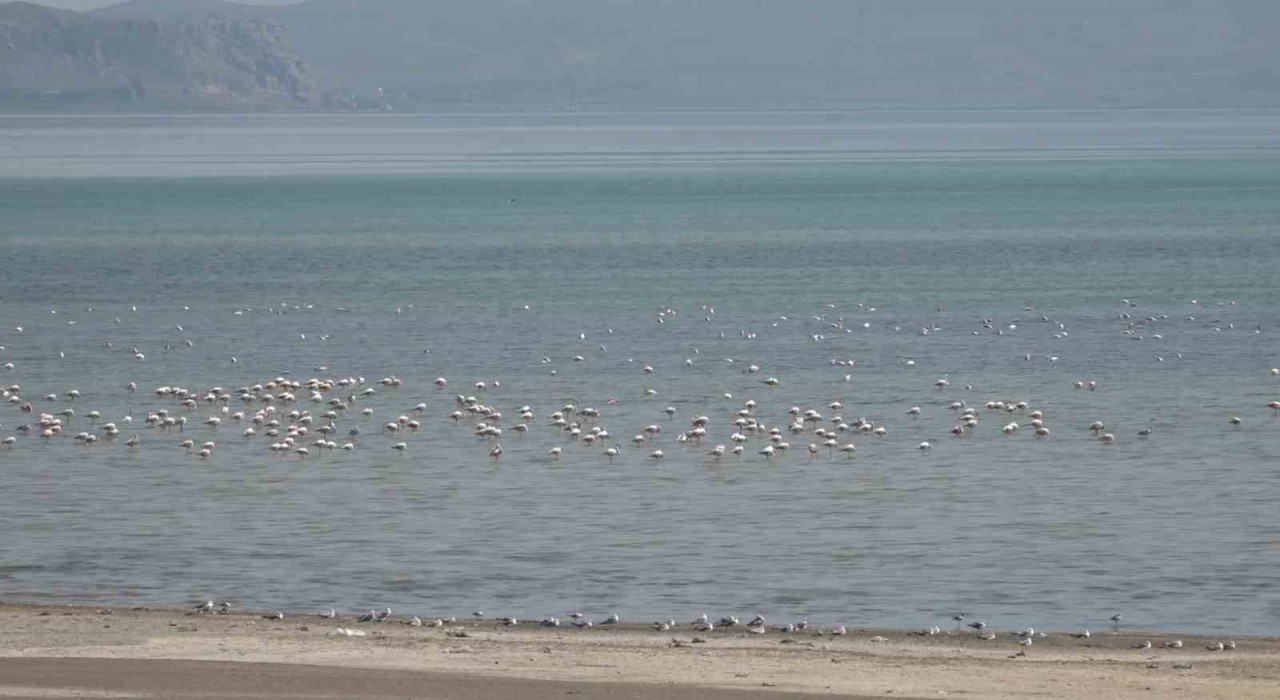 Van Gölü Havzası misafirlerini ağırlıyor