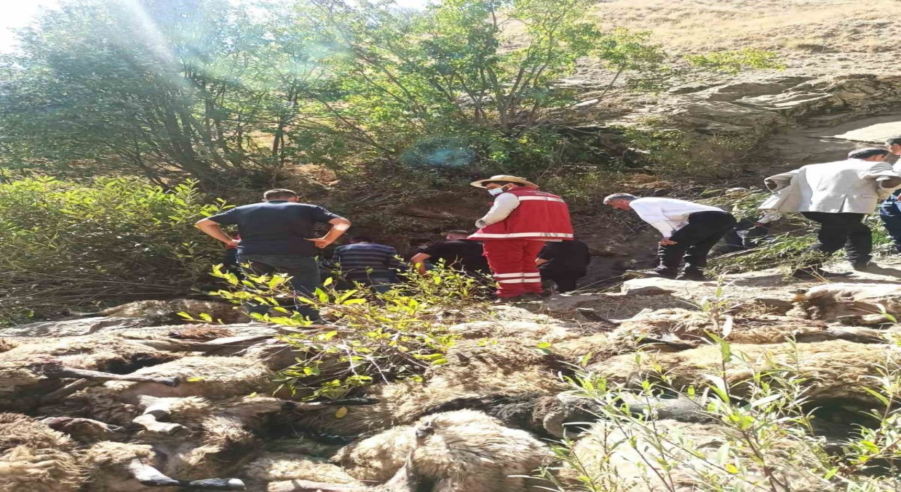 Vanda 334 koyun uçurumdan düşerek telef oldu