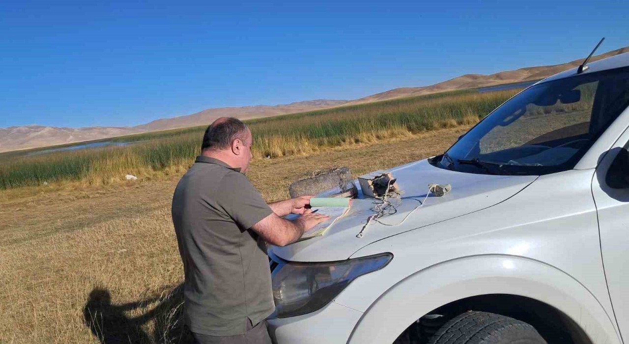 Vanda canlı mühre ile avcılık yapan şahsa 33 bin lira cezai işlem uygulanacak