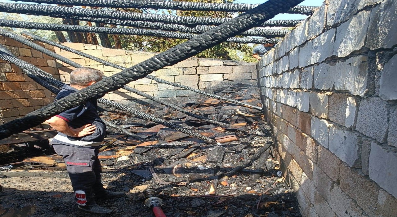 Vanda odunluk yangını