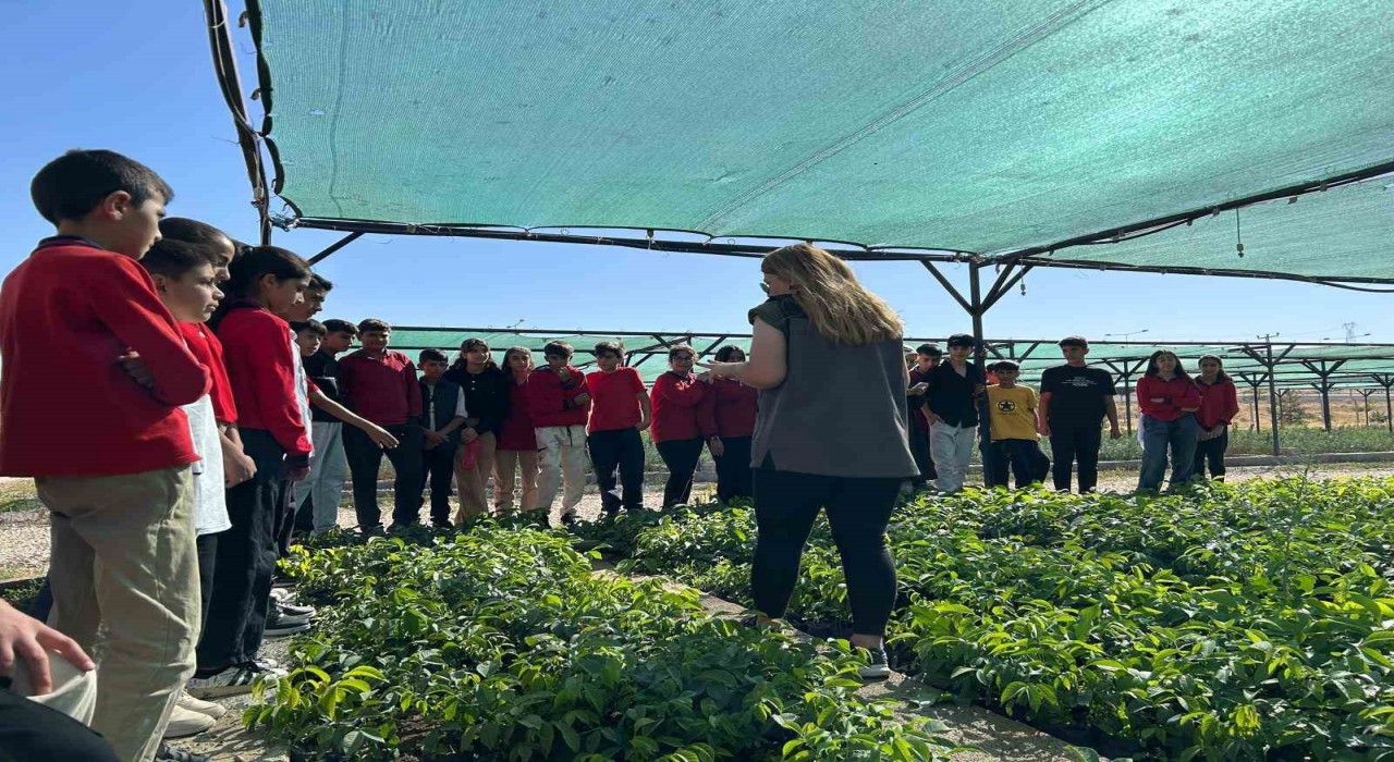 Vanda öğrenciler doğa bilinci için fidan dikecek