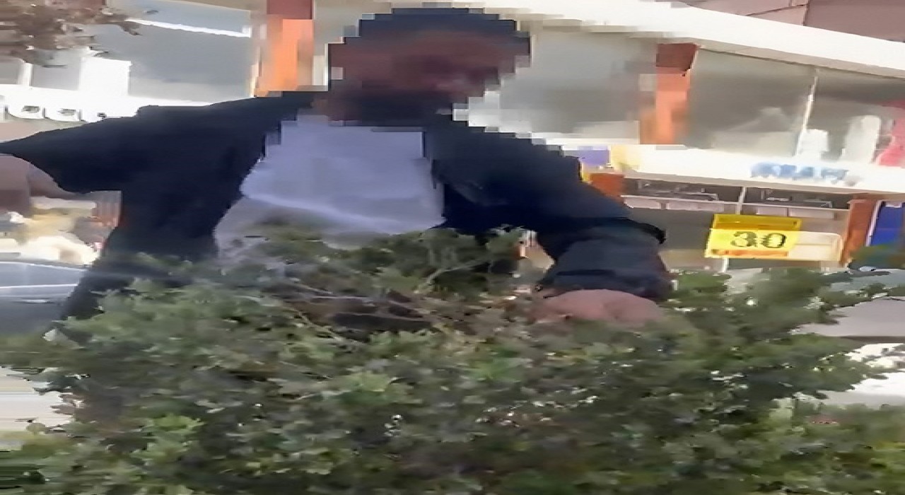 Vanda refüjdeki çiçek ve fidanlara zarar veren şahıs suçüstü yakalandı