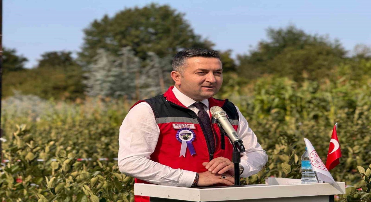 Yalovanın coğrafi işaretli meyvesi aronyada hasat sevinci