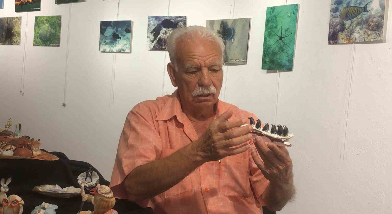 Yaşam kaynağım dediği denizden topladığı kabukları esere dönüştürdü