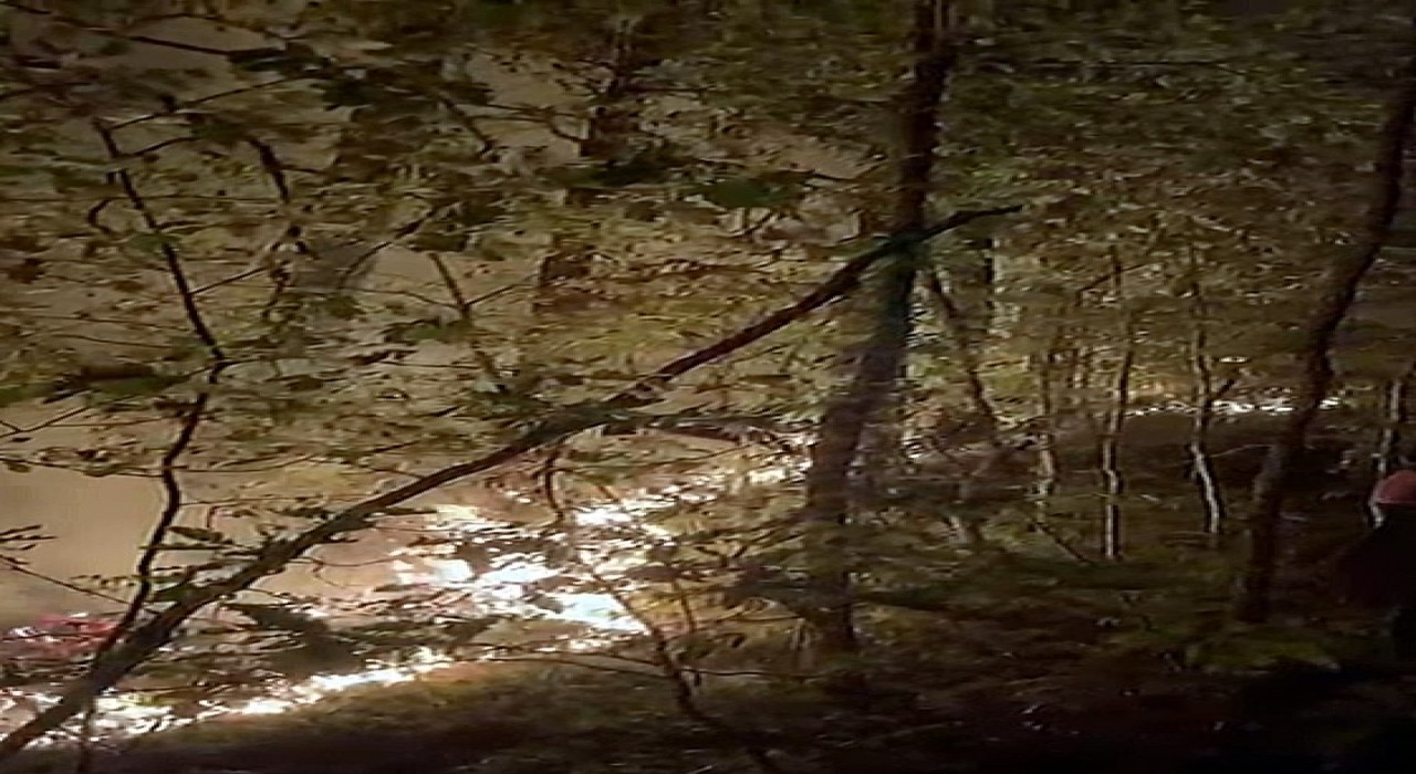 Yığılcadaki orman yangını söndürüldü