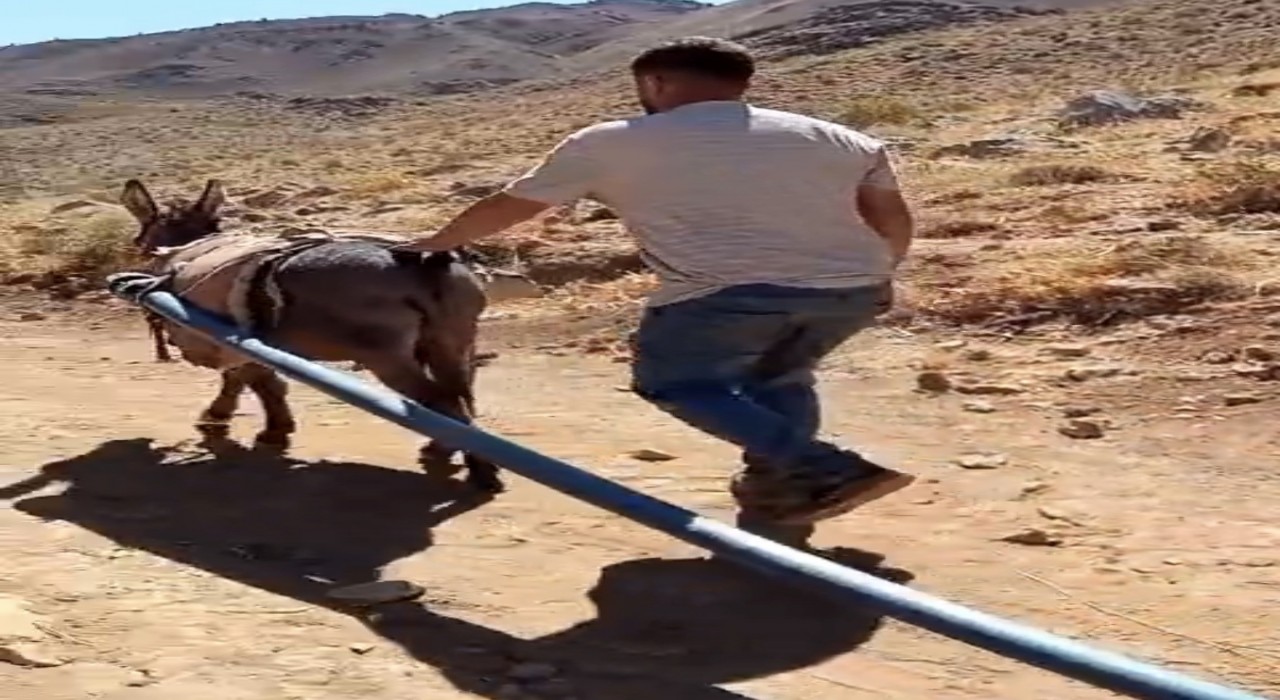 Yolalanda eşeklerle su seferberliği