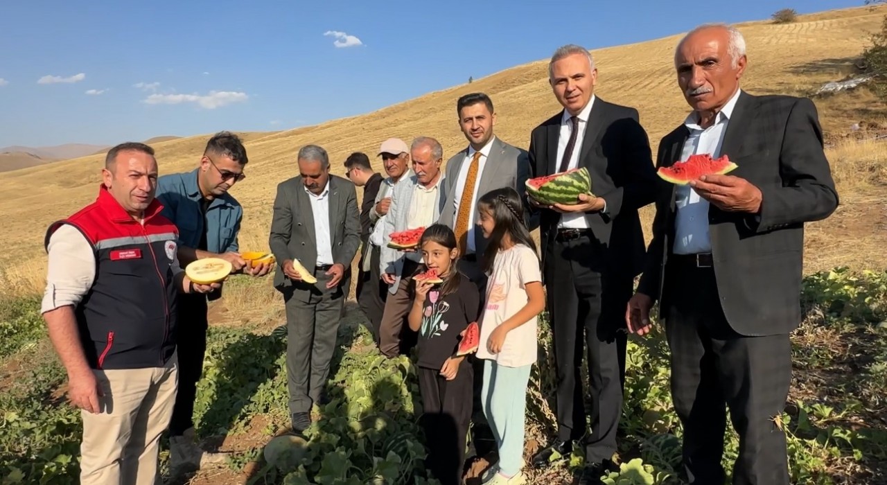 Yüksekovada mısır, karpuz ve kavun hasadı yapıldı