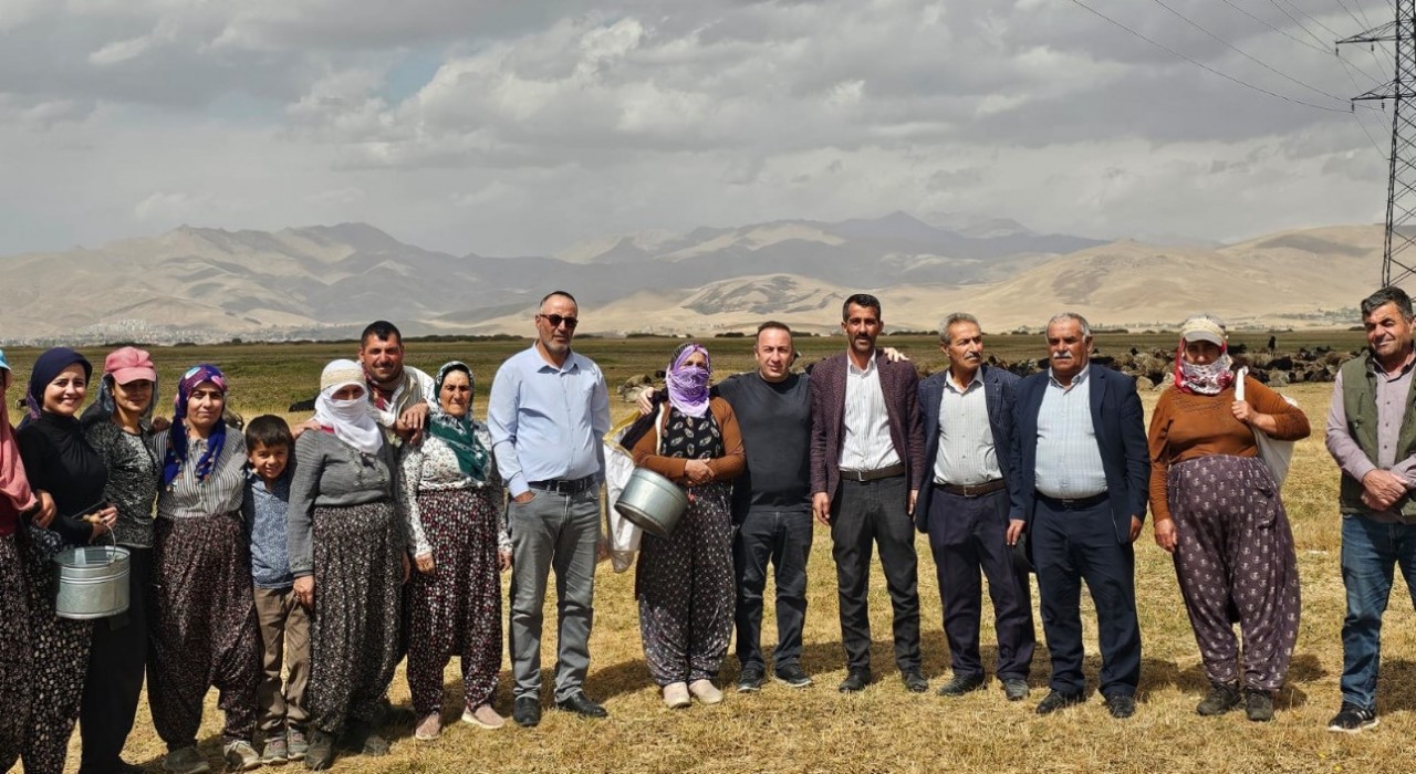 Yüksekovada şap hastalığı kontrol altına alındı