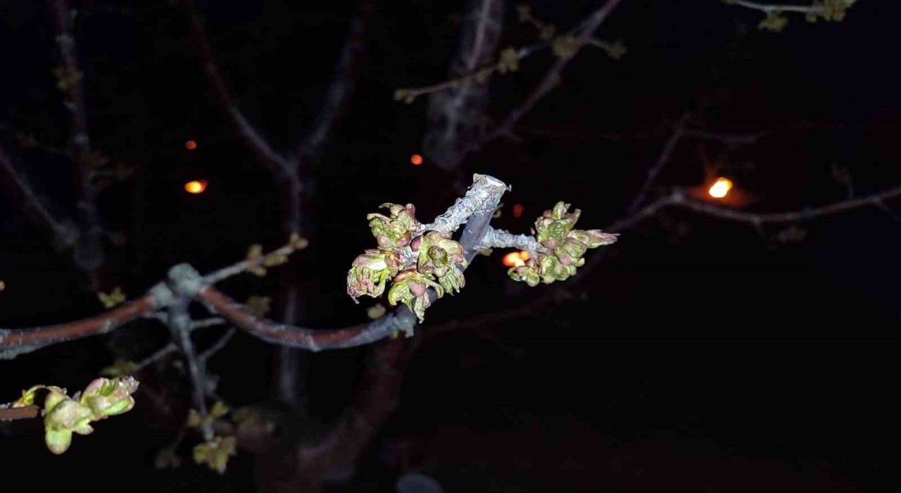 Zirai don zararına uğrayan çiftçilere destekleme ödemesi yapılacak