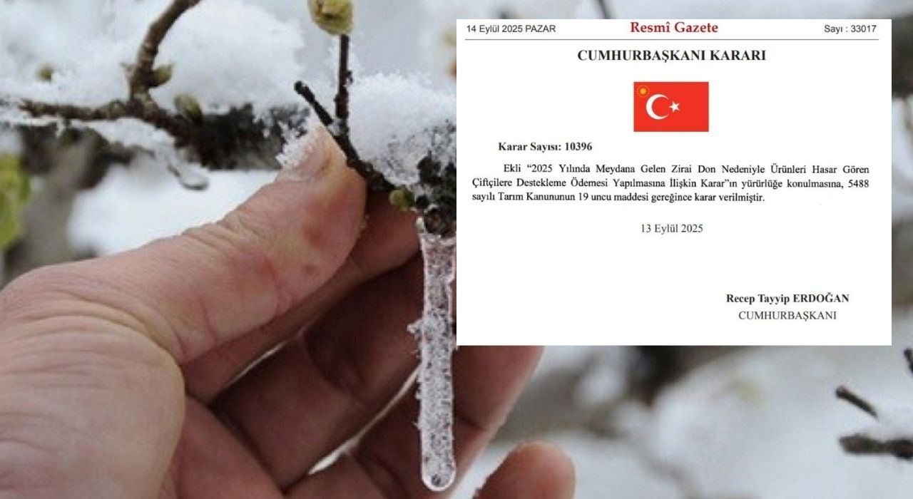 Zirai Don Zararları İçin Çiftçilere 46,5 Milyar Liralık Destek