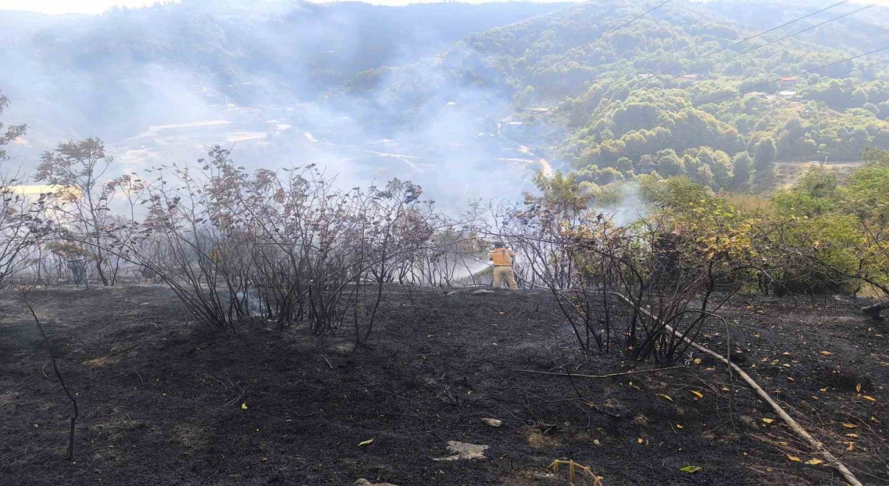 Zonguldakta 2 dekarlık alanda örtü yangını