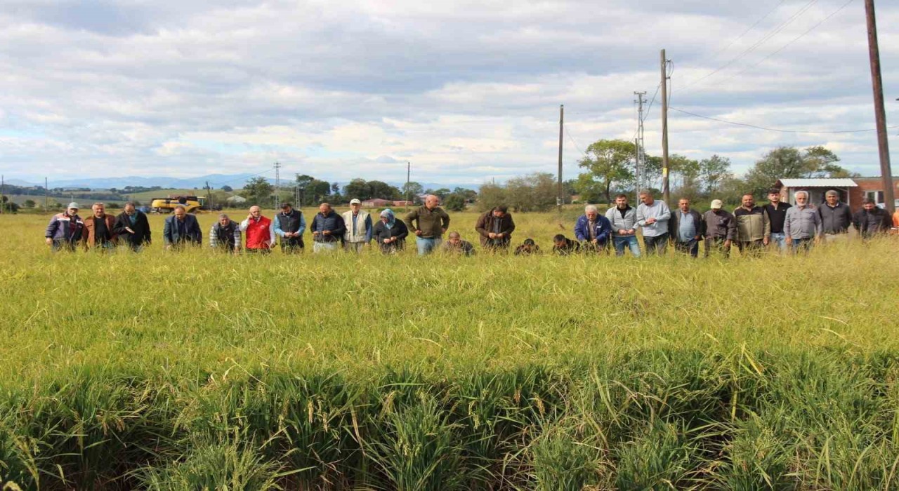 19 Mayıs ilçesini dolu vurdu