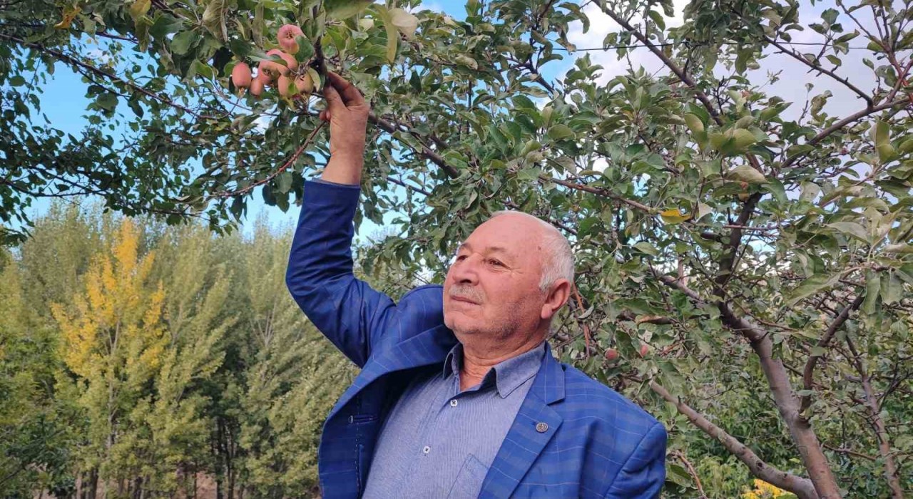 60 yaşındaki çiftçi: İlk kez böyle bir şey görüyorum