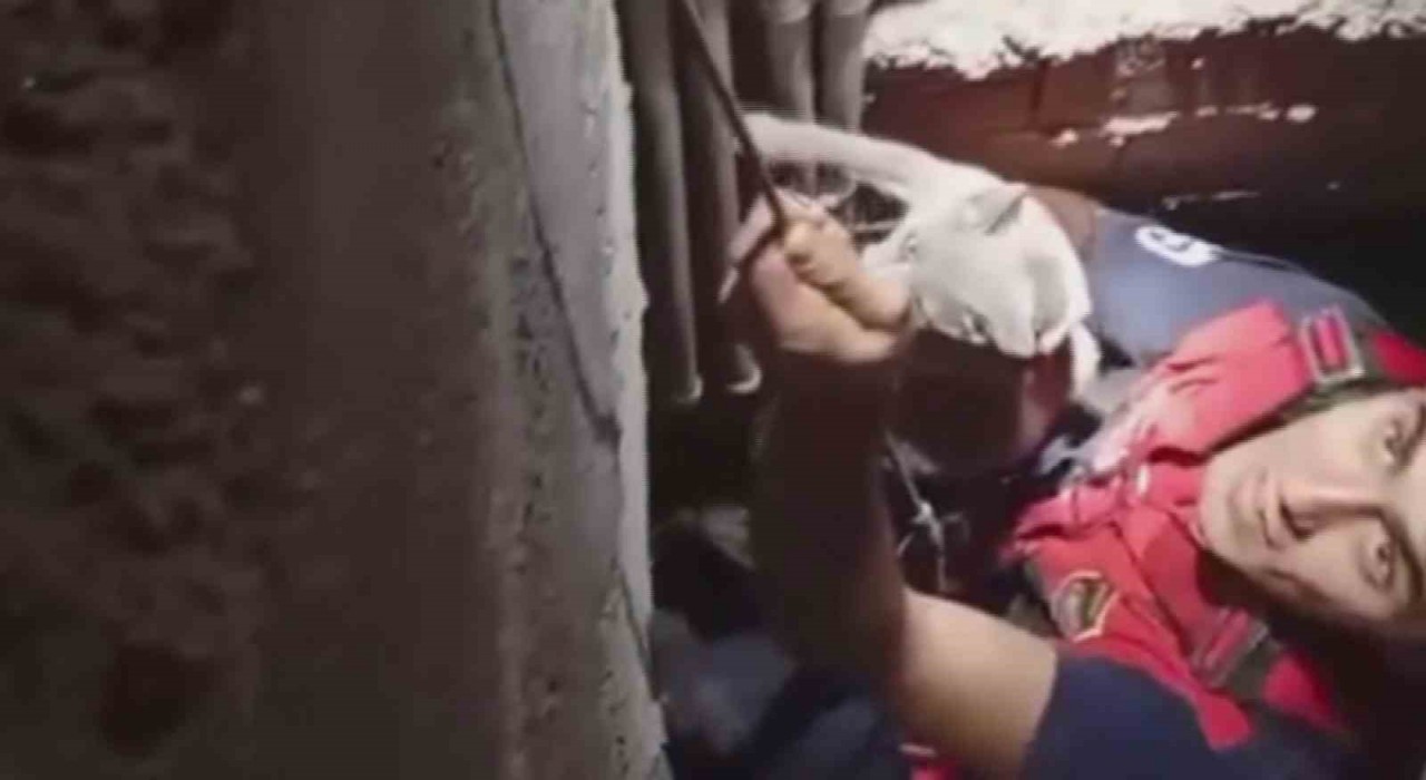 7 metre derinliğindeki boşluğa düşen kedi, zorlu operasyonla kurtarıldı