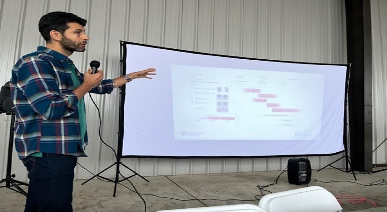 ABDde, kahverengi kokarca ile mücadeleyi anlattı