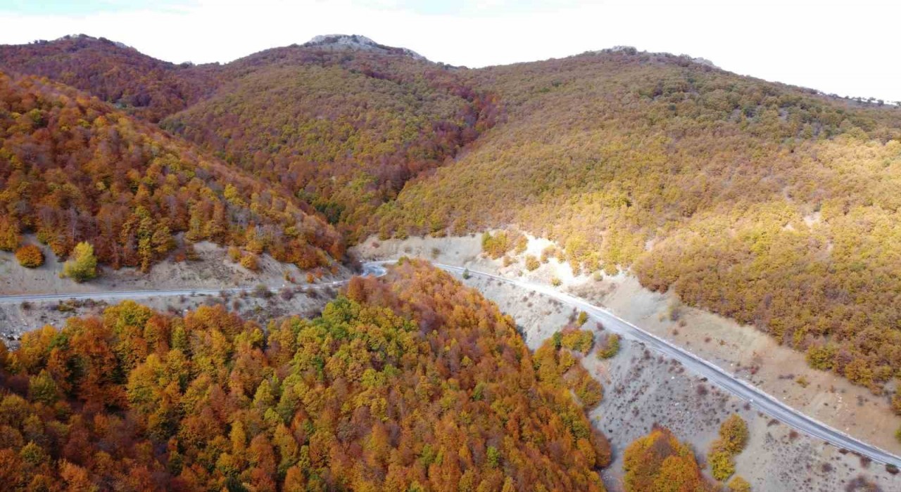 Adeta doğada bir tablo, Şebek Geçidinde sonbahar güzelli mest ediyor