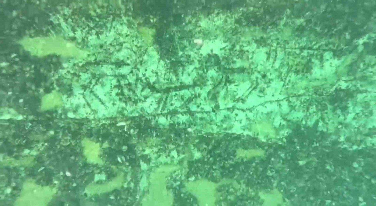 Adıyamanda 12 bin yıllık kaya resimleri su altında görüntülendi