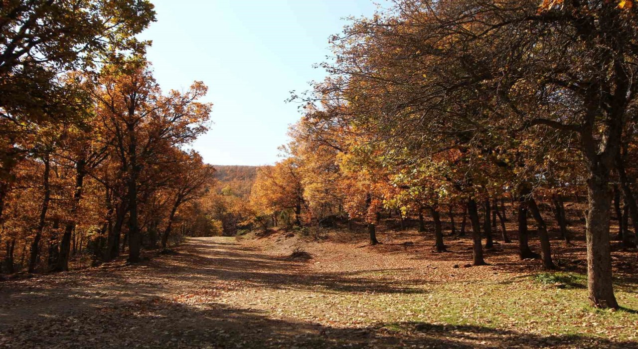Afyonkarahisarda sonbahar masalsı görüntüler ortaya çıkardı
