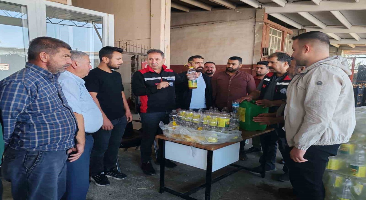 Akdeniz meyve sineği ile mücadele sürüyor