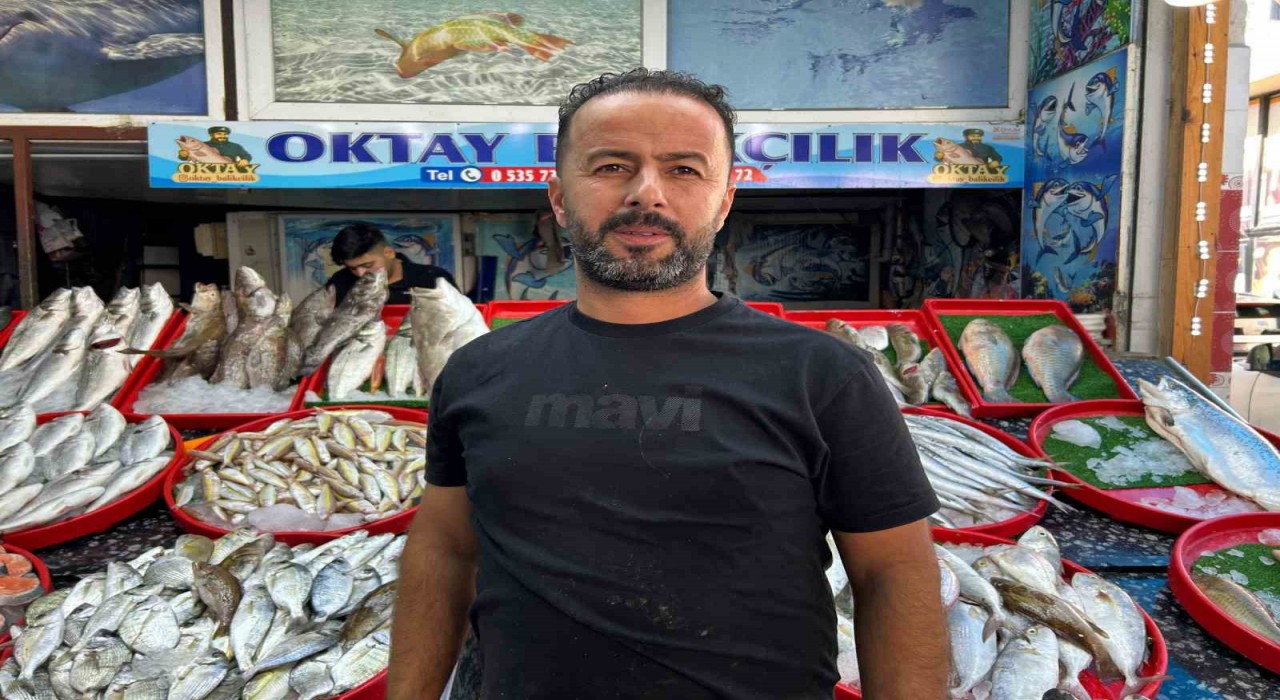 Akdenizde teknenin çapa halatına dolanan devasa büyüklükteki köpekbalığı balıkçılara korku dolu anlar yaşattı