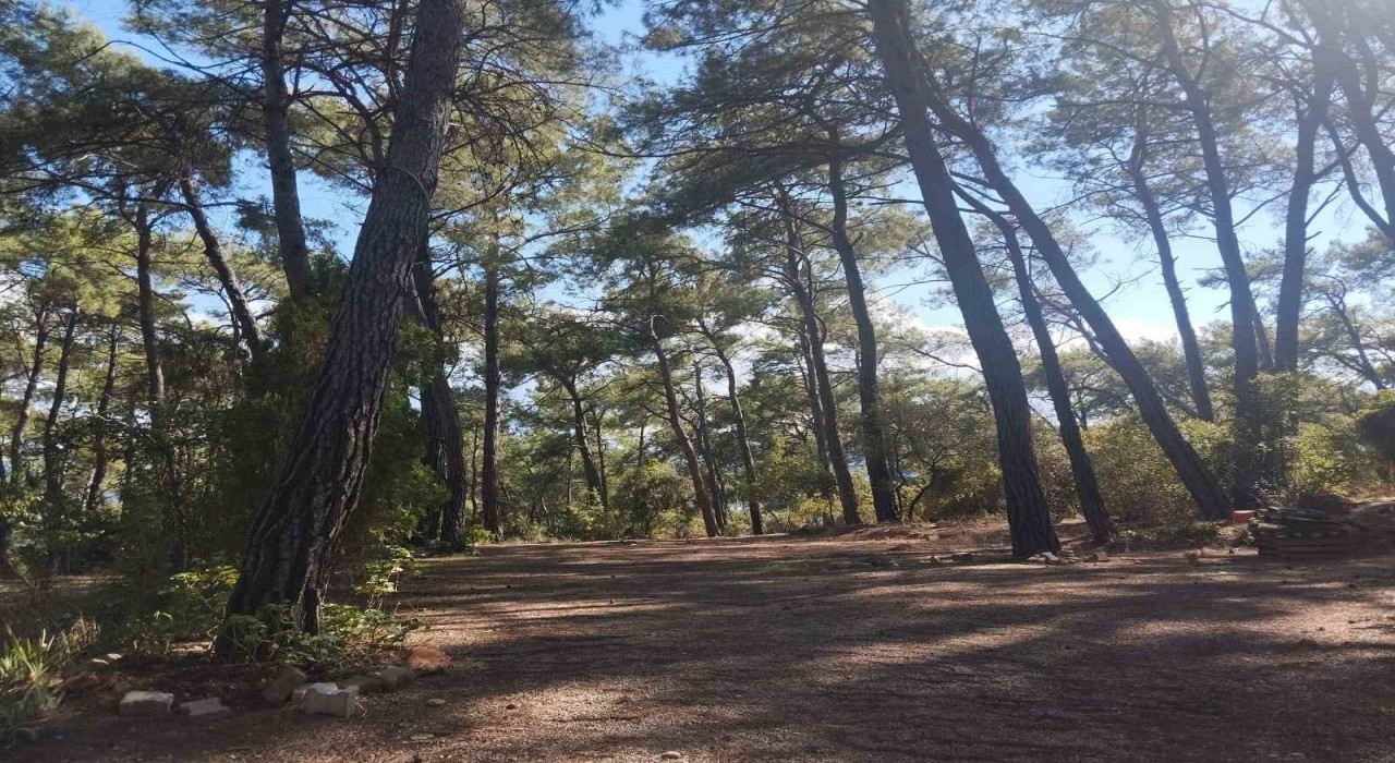 Akyaka Gökova Orman Parkında temizlik ve elektrik yenileme çalışmaları başladı