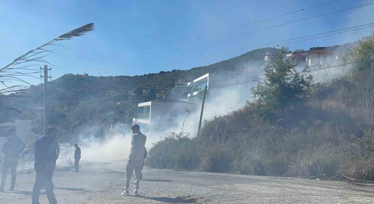 Alanyada yerleşim alanlarını tehdit eden yangın korkuttu