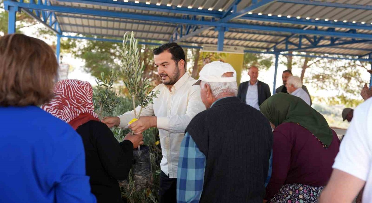 Alanyadaki yangın bölgesinde 3 bin 400 zeytin fidanı bahçe sahiplerine dağıtıldı