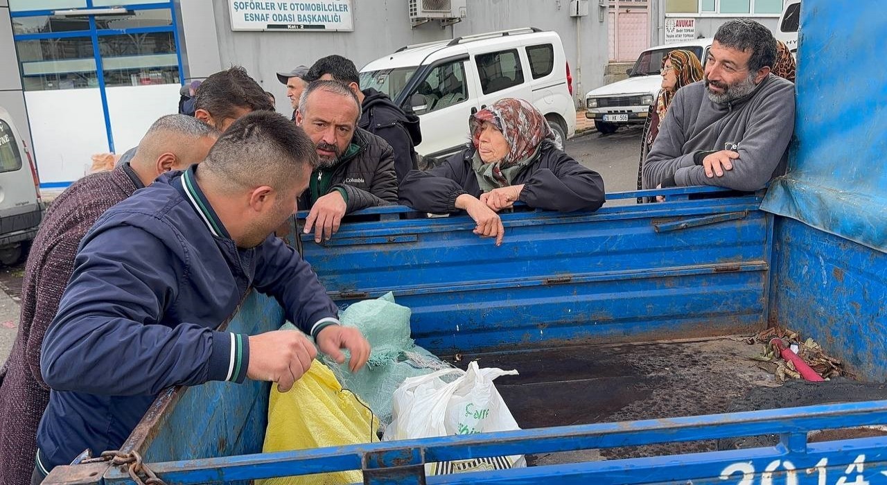 Alaplıda kuraklık ve gal arısı istilası ünlü kuzu kestanesini de vurdu