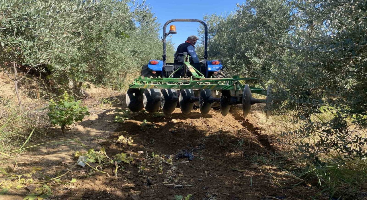 Alaşehirde çiftçilerin yağmur sevinci