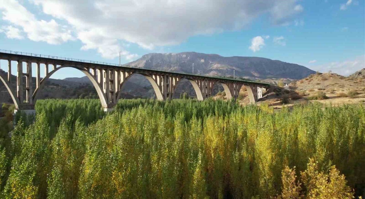 Alman Köprüsünün etrafında renk cümbüşü